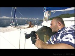 'Tropical Bitches' screenshot nº 111