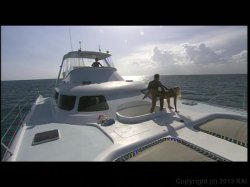 'Tropical Bitches' screenshot nº 133