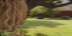 'Black On Black Crime' screenshot nº 60
