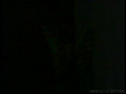 Captura de 'Ready To Drop 19' nº 4