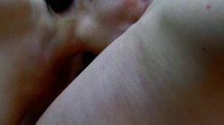 'Ruinenblasen' screenshot nº 9