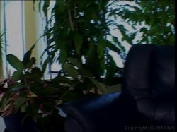 'Cherry Bomb' screenshot nº 50