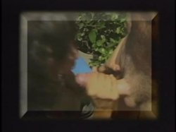 'Plump MILTF' screenshot nº 7