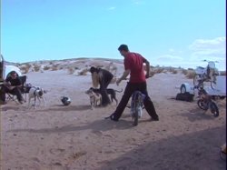 'Dez's Dirty Weekend 3: Dezert Storm' screenshot nº 88