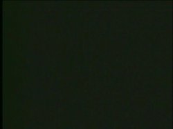 'Plump and Busty 2' screenshot nº 69