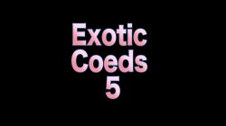 Captura de 'Exotic Coeds 5' nº 1