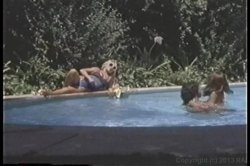 Captura de '36D Blonde - A Linda Shaw Collection' nº 72