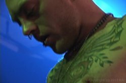 'Barely Legal All-Stars Vol. 5' screenshot nº 78
