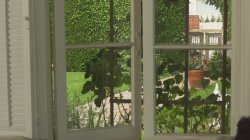 Captura de 'Transsexual Monster Cocks' nº 91