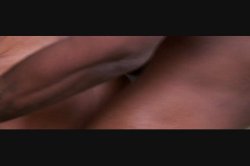 Captura de 'Mann of the House' nº 119