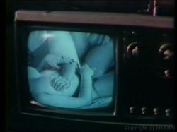Captura de 'Annette Haven's Tag Teamers' nº 79