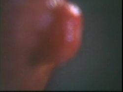 'The Golden Age Of Porn - Candy Samples2' screenshot nº 101