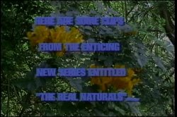 Captura de 'Dirty Debutantes 176' nº 137