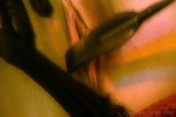 Captura de 'L.S.D.: Lesbian Sex Destroy' nº 31