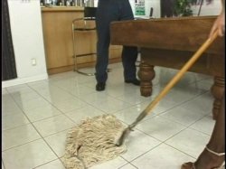Captura de 'Joey Silvera's Service Animals' nº 4