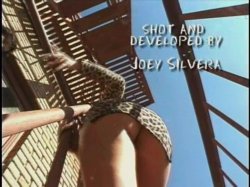 Captura de 'Joey Silvera's Service Animals' nº 1