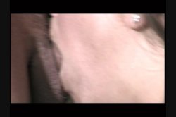 Captura de 'Pop 6: The Beauty of a Blowjob' nº 11