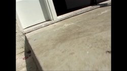 'Big Booty Moms 2' screenshot nº 85