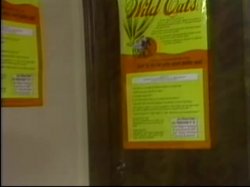 'Wild Oats' screenshot nº 64