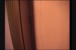 Captura de 'Anal Sluts and Sweethearts 5' nº 88