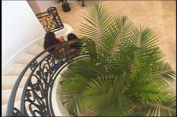 'No Man's Land Interracial Edition 4' screenshot nº 23