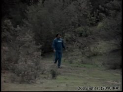 'Debbie Does Dallas 3' screenshot nº 106