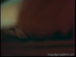 'Debbie Does Dallas 3' screenshot nº 13