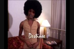 'Shemale Yum Takes on Black Transsexuals' screenshot nº 117