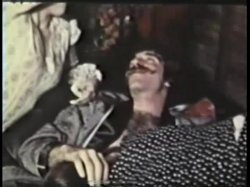 Captura de 'Peepshow Loops 339: 1970s (All Color)' nº 4