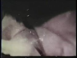 Captura de 'Peepshow Loops 339: 1970s (All Color)' nº 58