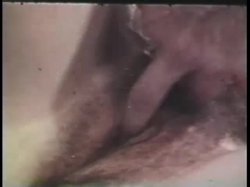 Captura de 'Peepshow Loops 339: 1970s (All Color)' nº 63