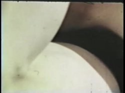 Captura de 'Peepshow Loops 339: 1970s (All Color)' nº 81