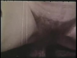 Captura de 'Peepshow Loops 339: 1970s (All Color)' nº 10