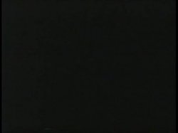 Captura de 'Peepshow Loops 339: 1970s (All Color)' nº 101