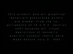 Captura de 'Peepshow Loops 339: 1970s (All Color)' nº 1