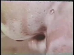 Captura de 'Peepshow Loops 339: 1970s (All Color)' nº 102