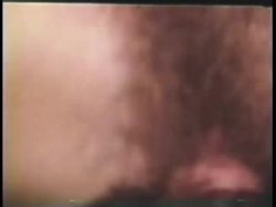 Captura de 'Peepshow Loops 339: 1970s (All Color)' nº 129