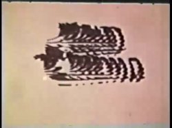 Captura de 'Peepshow Loops 339: 1970s (All Color)' nº 13