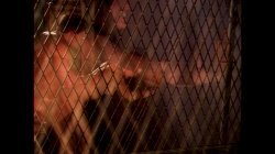 Captura de 'Erotic Intentions' nº 75