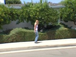 'Reality Teens 3' screenshot nº 2