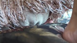 'Amateur Dreams' screenshot nº 53