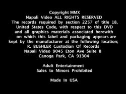 Captura de 'Big Bust Covergirls Vol. 7' nº 1