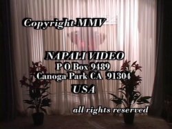 Captura de 'Big Bust Covergirls Vol. 7' nº 32