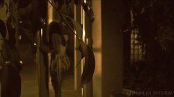 'Creature Feature' screenshot nº 97
