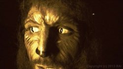 'Creature Feature' screenshot nº 98