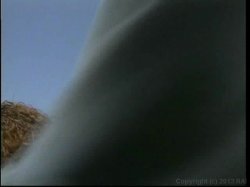 'Midget Goes Hawaiian' screenshot nº 47