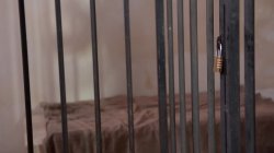 Captura de 'Lesbian Fetish Fantasies' nº 127