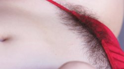 'Axel Braun's Bush 2' screenshot nº 32