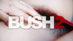'Axel Braun's Bush 2' screenshot nº 1