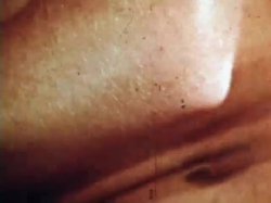 Captura de 'Primary Sex' nº 1